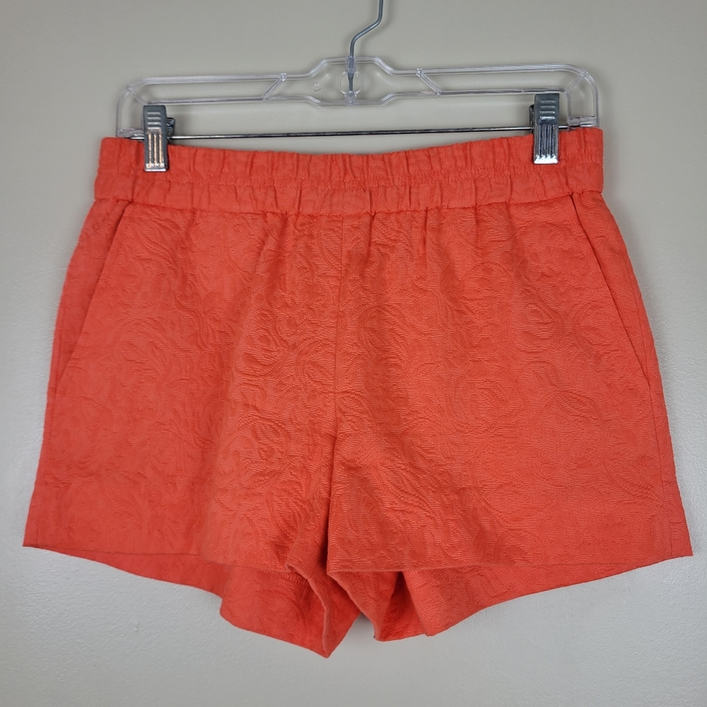 J Crew Pull-On Shorts